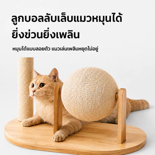 ไม้แมวคอนโดแมว ตัวคอนโดแมวใหญ่ กรอบปีนแมว โครงปีนแมว คอนโดแมว cat tree tower พร้อมโดมนอนแบบใส บ้านแมว condoแมว ทนทาน