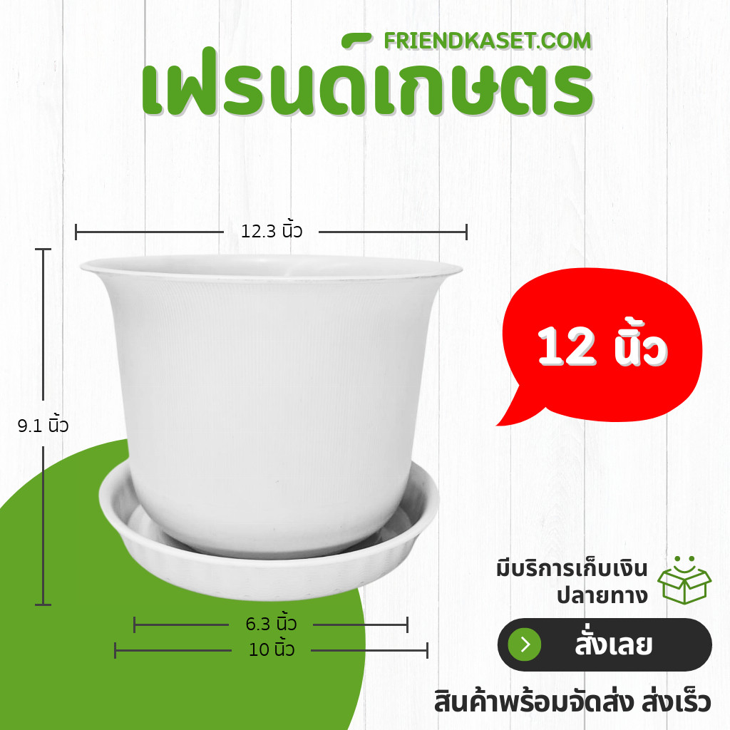 กระถางต้นไม้ กระถางมินิมอล กระถางถ้วยจีน 6 8 10 12 15 นิ้ว ขั้นต่ำ 2 ใบ ชิ้น อัน
