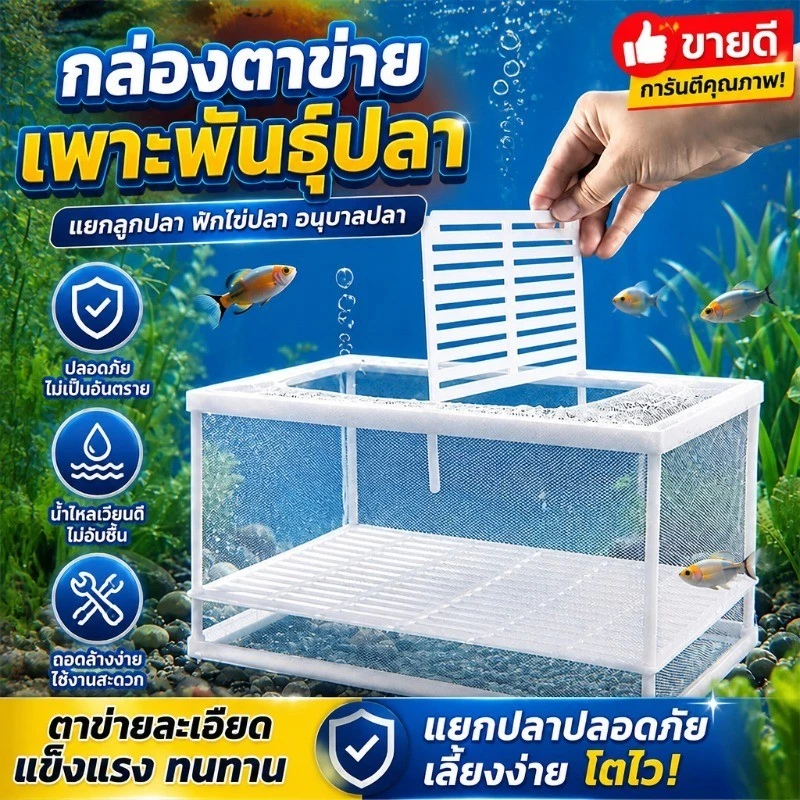 กล่องตาข่ายแยกปลา เพาะพันธุ์ปลา กล่องฟักไข่ปลา