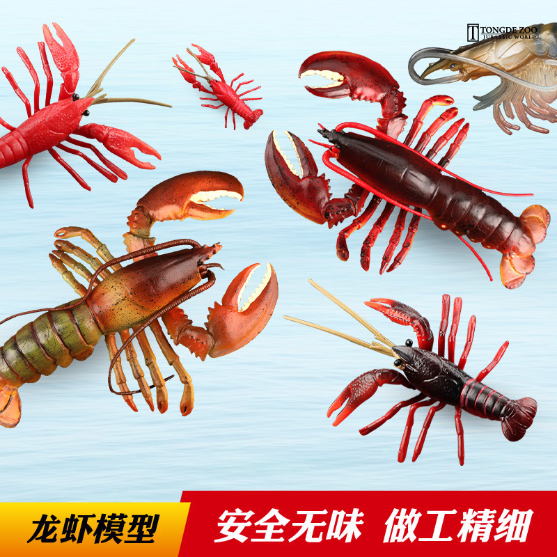 Tongde Lobster Model ของเล่นสัตว์ทะเลจําลองกุ้งทะเลกุ้งก้ามกรามบอสตันกุ้งก้ามกรามเด็กกุ้งก้ามกรามออส