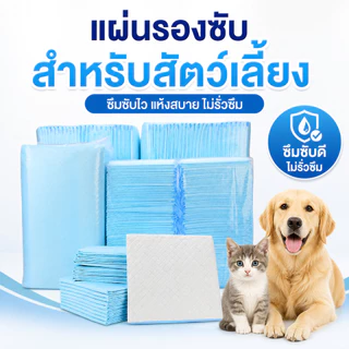 【พร้อมส่ง】 แผ่นรองฉี่สุนัข ซึมซับไดีดี ต่อต้านแบคทีเรีย แผ่นรองฉี่ ผ้ารองฉี่สุนัข แผ่นรองฉี่แมว แผ่นรองซับ ทรายแมวCOD