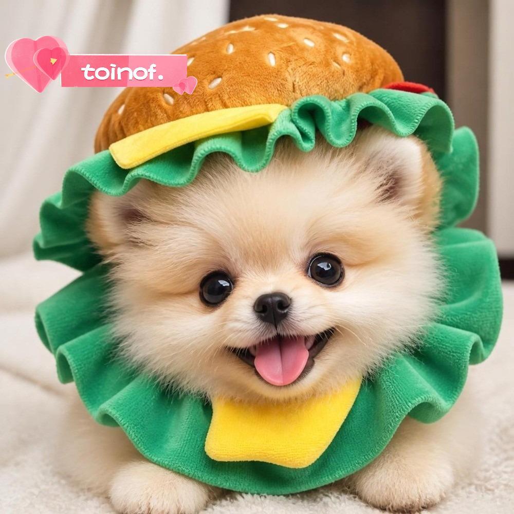 TOINOF Pet Burger Hat, Cross Dressing คอสเพลย์หมวกแมว,ปาร์ตี้ตลกปรับแฮมเบอร์เกอร์ Photo Prop หมวกสํา