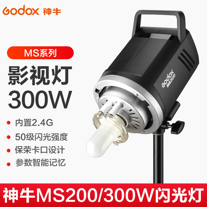 GODOX MS200V MS300V Portrait Studio Studio Still Life Small Baorong Flash International Version GODO