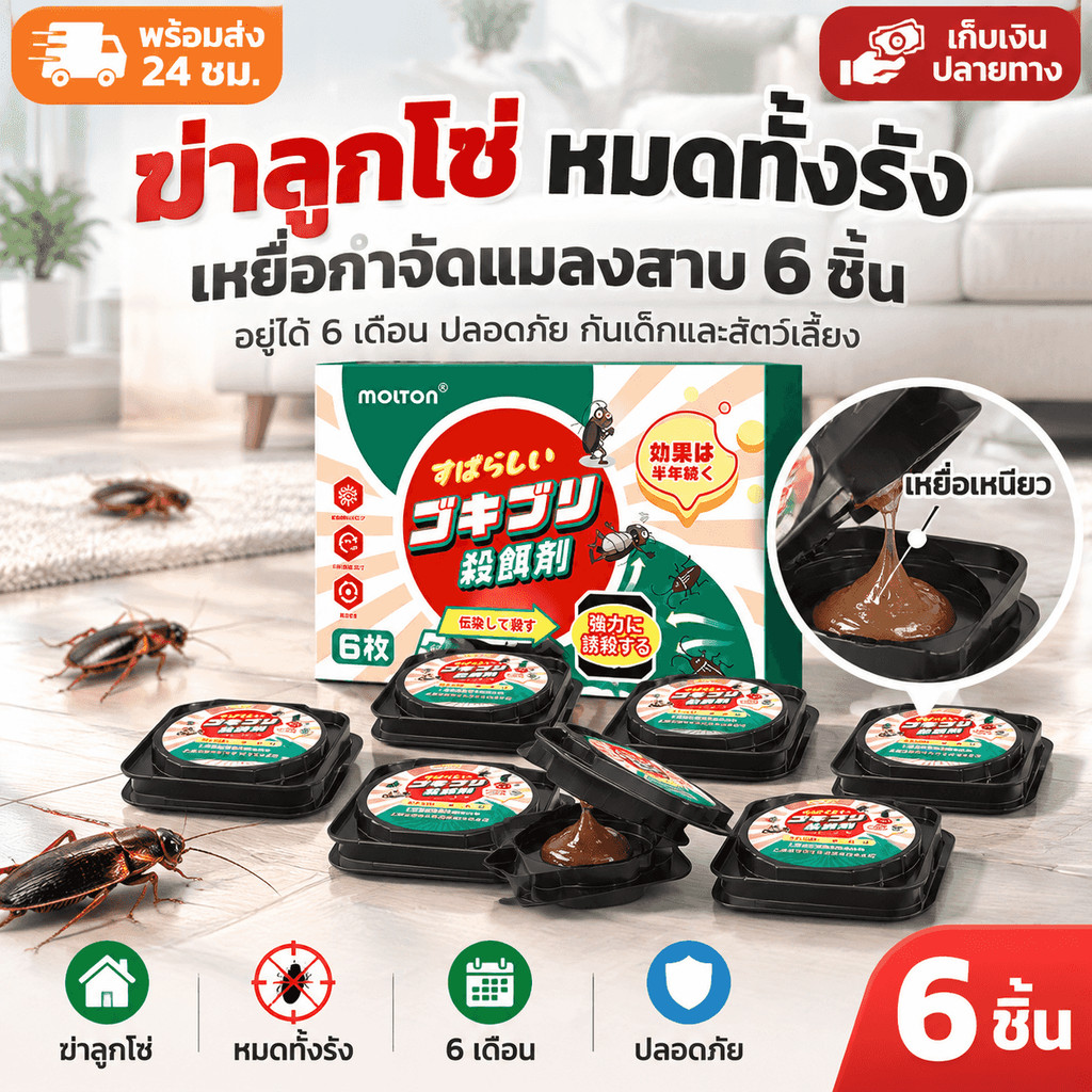 เกรดดีที่สุด MDB ล่อแมลงสาบ ได้ผล100% กำจัดแมลงสาบอย่างถาวร ที่ดักแมลงสาบ