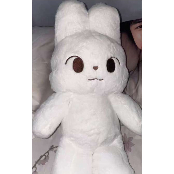 【พร้อมส่ง】ตุ๊กตาโดยอง ตุ๊กตาผ้าฝ้ายน่ารัก dodo50cm