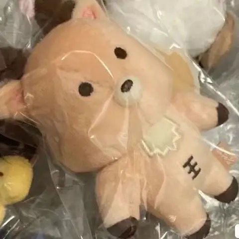 【พร้อมส่ง】 riize doll ตุ๊กตา riize จี้ตุ๊กตาสุดน่ารัก