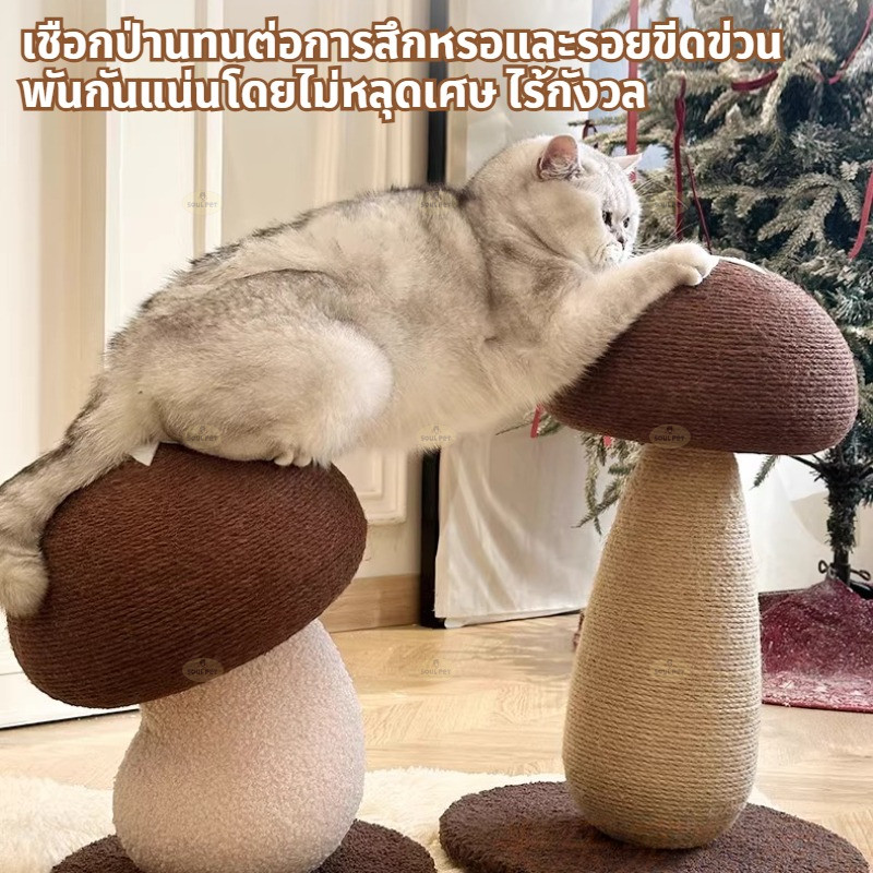 ที่ลับเล็บแมว สไตล์ใหม่ 4in1 ที่ฝนเล็บแมว รูปร่างเห็ด ของเล่นแมว ทนต่อการขีดข่วน ไม่ครอบครองพื้นที่ รูปที่ 2