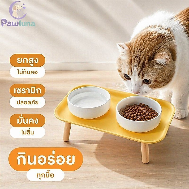 เซรามิกชามสัตว์เลี้ยงคู่ยกคอดูแลกันลื่นทําความสะอาดง่ายแมวสุนัขให้อาหารจาน BHQ