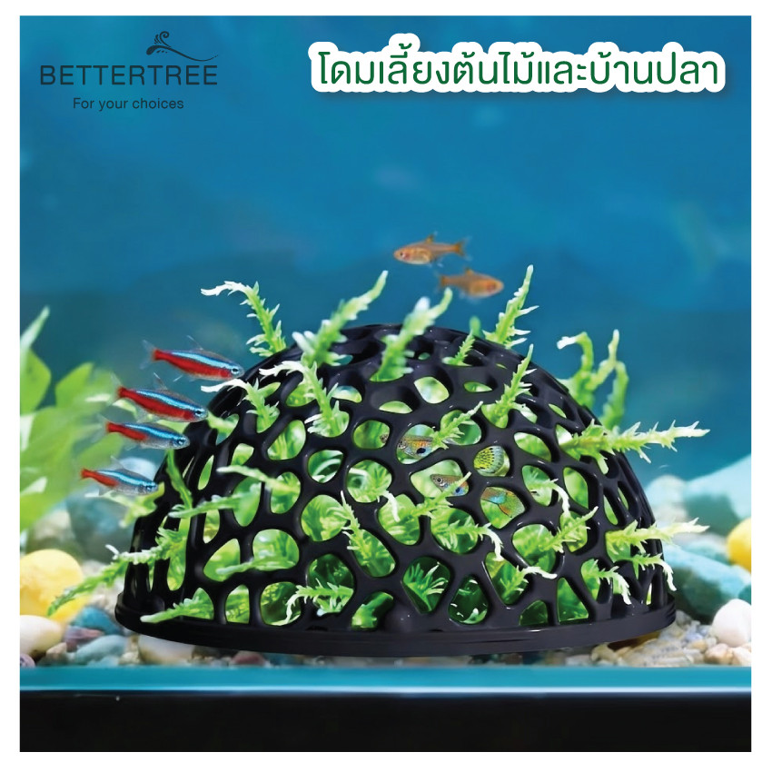 โดมบ้านต้นไม้ และบ้านปลา บ้านปลา