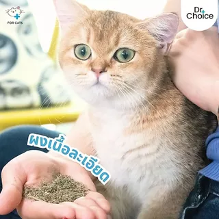 Dr.Choice Premuim Catnip - ด๊อกเตอร์ ช๊อยส์ พรีเมียม แคทนิป กัญชาแมว (20g.)