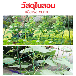 คุณภาพดี ตาข่ายสำหรับพืชไม้เลื้อย ทนทาน น้ำเต้า แตงกวา ตาข่ายปลูกผัก
