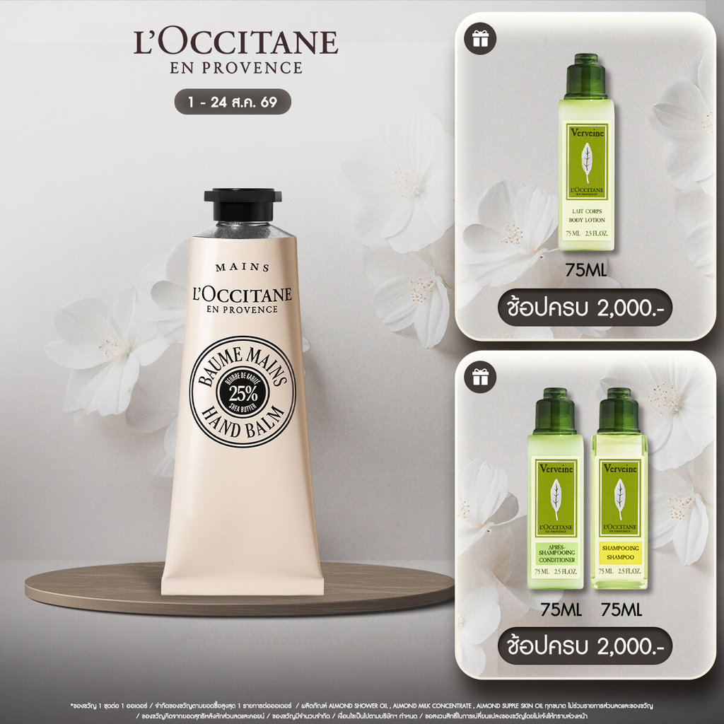 สูตรใหม่ L'Occitane Shea Butter Intensive Hand Balm 50 ML