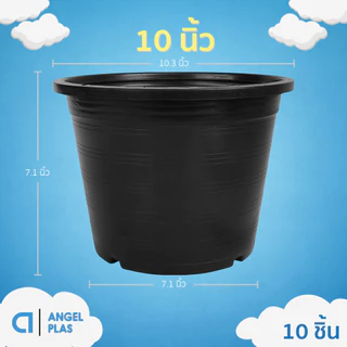 กระถาง กระถางทรงถ้วย กระถางเตี้ย ขนาด เบอร์ 10 9.5 นิ้ว สีดำ ยกมัด 10 ใบ
