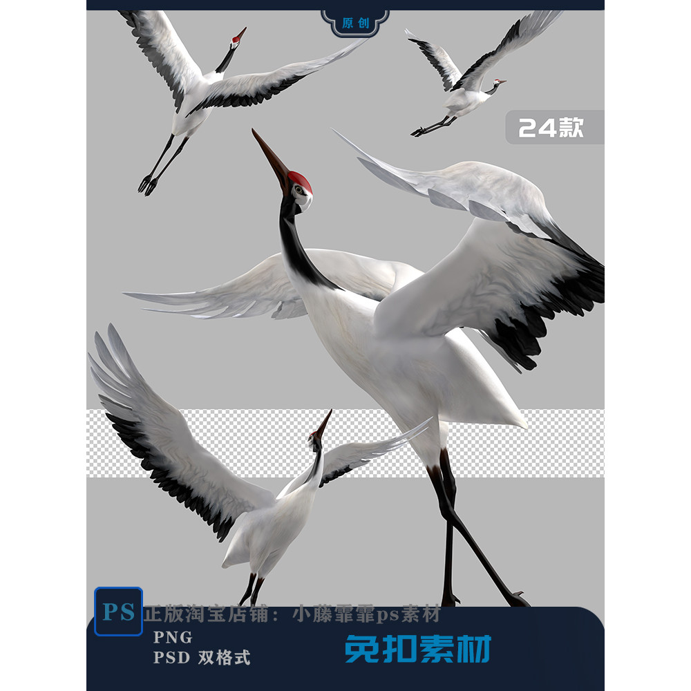 [png-159] Crane-Free Antique Crane-White Crane-Egret ps Material
