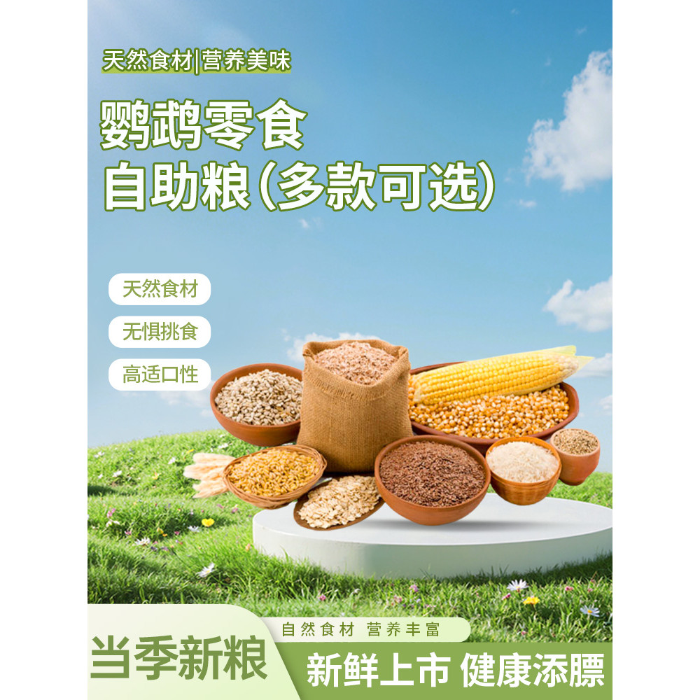 อาหารนกนกแก้ว Grain Millet Oatmeal Rice Hemp Seed Perilla Seed Quinoa ข้าวฟ่างสีเหลือง เมล็ดทานตะวัน