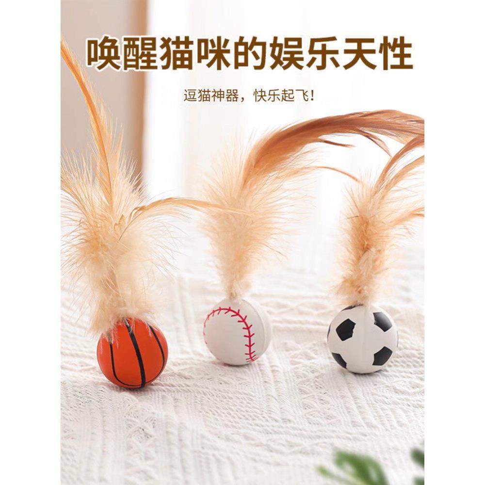 Cat Favorite Self Happiness and Best Rescue Handheld Gadget Influencer Toy