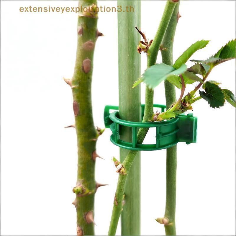 # Home EE # Tomato Support Fastener Clips 60 Pa Plant Vine Stabilizer Climbing Holder for Home Garde