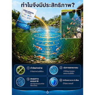 【คืนความใส】ผงคืนชีพสระปลา ปรับสภาพน้ำ/เพิ่มออกซิเจน/ลดแอมโมเนีย/ย่อยสลายตะกอน/ผงบำบัดน้ำ/ผงฟื้นฟูน้ำ/สระปลา