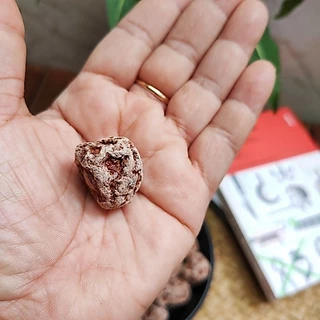 บ๊วยพุทราป้าแต๋ว รสชาติเค็มๆหวานๆ ขนาด250และ500กรัม