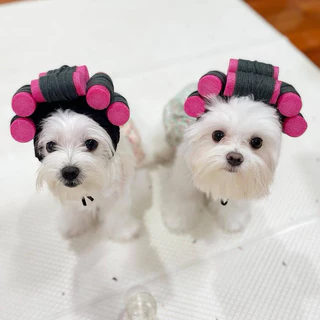 🐶COD😻 ผมปลอม วิกผมสังเคราะห์สําหรับสัตว์เลี้ยงสุนัขแมว สัตว์เลี้ยง แมว หมา