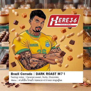 HERE BRAZIL CERRADO : เมล็ดกาแฟบราซิลเซอร์ราโดซิกเนเจอร์ : ช็อคโกเลตอัลมอนด์