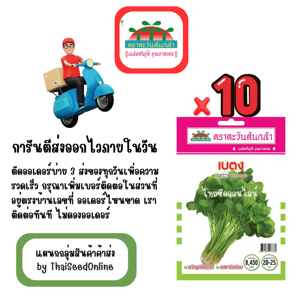 ADVOP x 10 เมล็ดผักซอง ตะวันต้นกล้า ผักโขม เบตง สินค้ายกแพ็ค