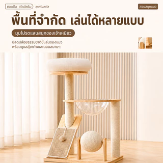 คอนโดแมวไม้ พร้อมโดมนอนแบบใส คอนโดแมว ตัวคอนโดแมวใหญ่ condoแมว กรอบปีนแมว โครงปีนแมว แคปซูลอวกาศ บ้านแมว คอนโดแมวไม้จริง
