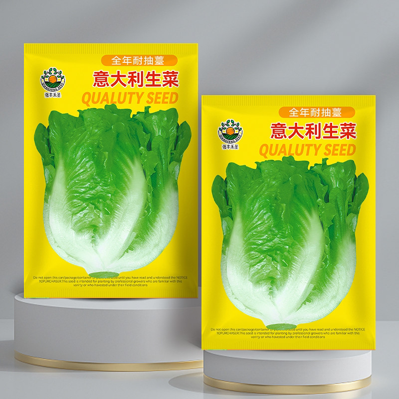 现货热卖意大利生菜种子速生奶油生菜种籽苗春四季播家庭阳台大田蔬菜种子Italian lettuce seeds instant cream lettuce seeds20260902