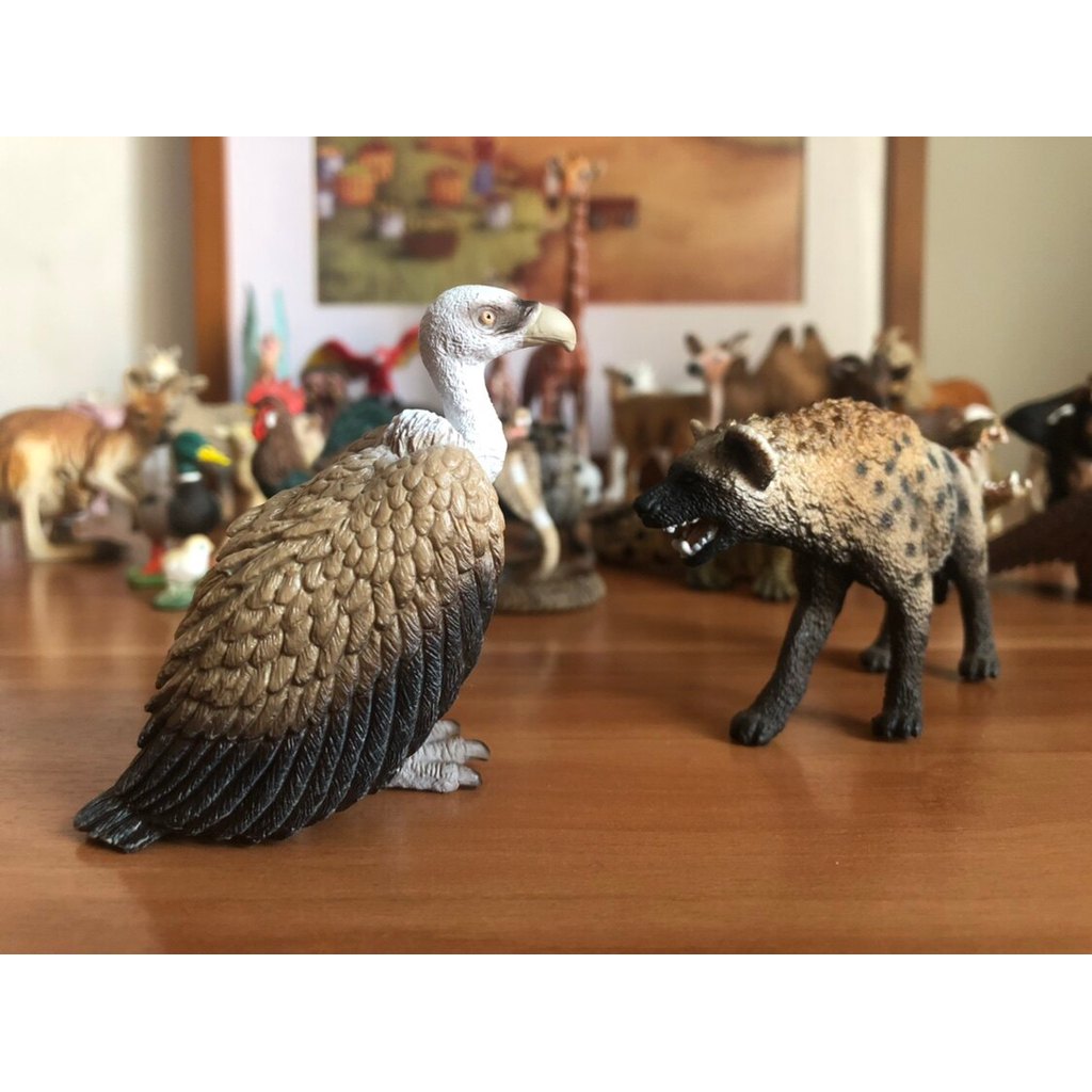 ของแท้เยอรมัน Vulture Vulture Eclipse สัตว์รุ่นของเล่นเด็ก Early Education Cognitive ตรัสรู้จําลองหน