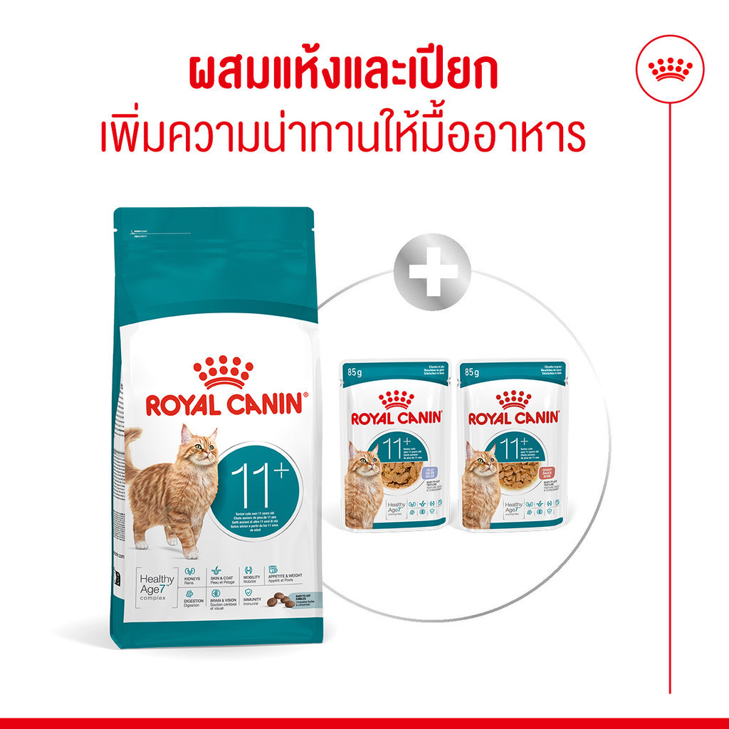 Royal Canin طعام قطط مسنة Ageing 11+ ‏2 كغ — صورة 4