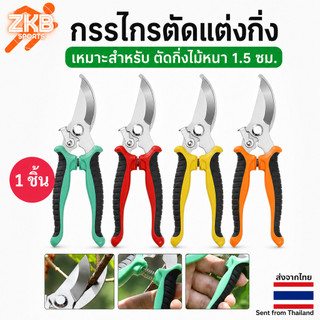 พร้อมส่ง !!! กรรไกรตัดกิ่งไม้ สแตนเลส บอนไซ เครื่องมือจัดทำสวน แข็งแรง Pruning shears (จากไทย)