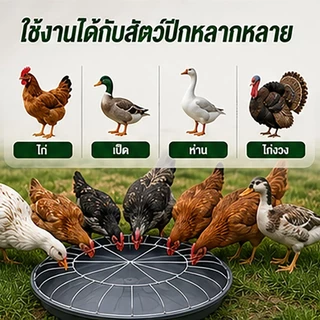 ถาดอาหารไก่ 60 ซม. 30 ช่อง พร้อมตะแกรงกันเหยียบ ถาดให้อาหารไก่ เป็ด ห่าน ลดอาหารหก พลาสติกหนา แข็งแรง สำหรับฟาร์มสัตว์ปี