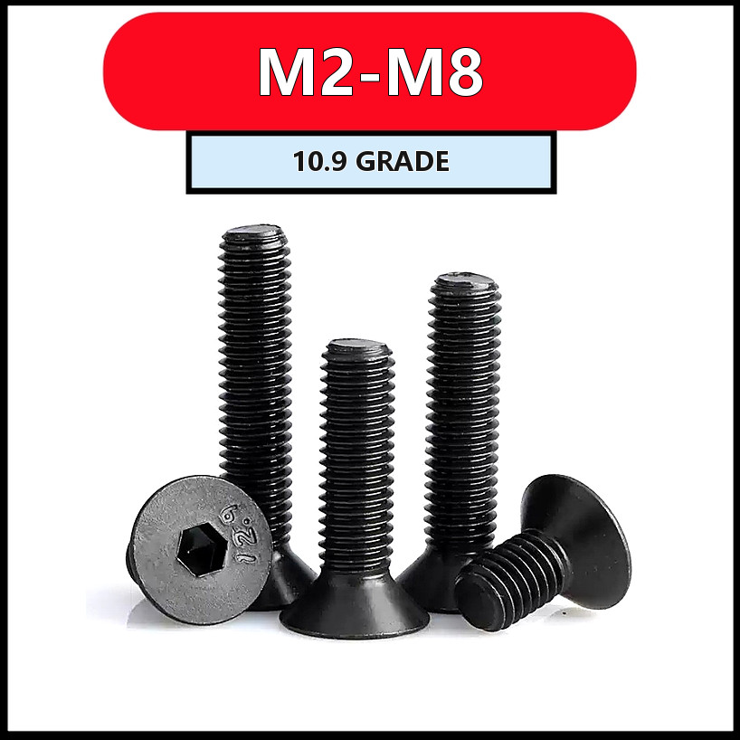 สกรูหัวจมหกเหลี่ยม M2-M8 เหล็กเกรด 10.9 แข็งแรง (2-50pcs) [FKY-M1]