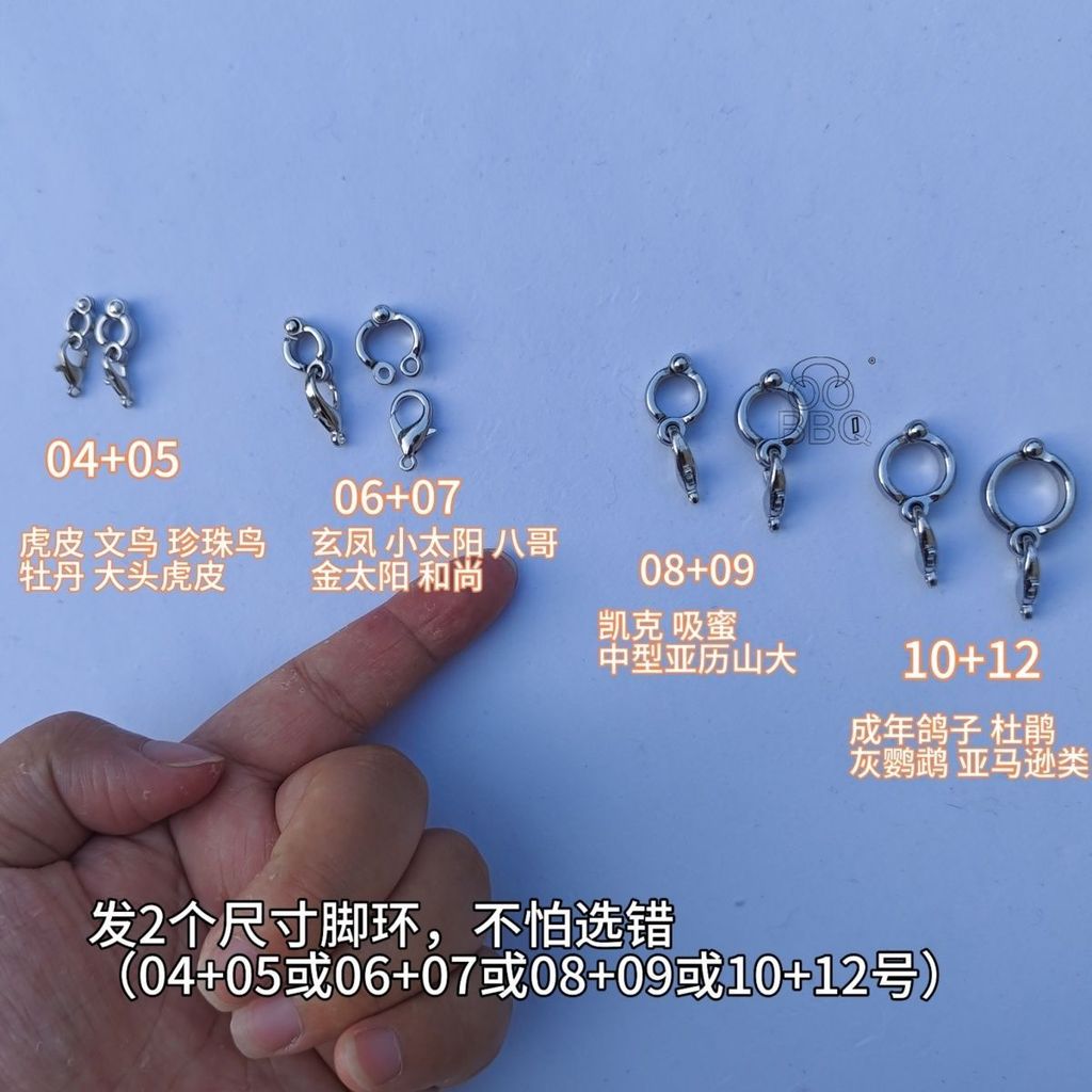 Budgerigar Anklet ชุด Peony Parrot Anklet Myna สแตนเลสสตีลนกโซ่ยืน Bird Anklet Parrot