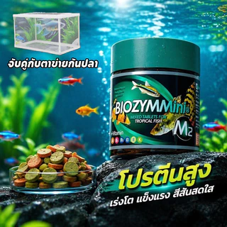 อาหารปลา Biozym Mini พรีเมียม โปรตีนสูง 50 เปอร์เซ็นต์ วิตามิน เอนไซม์ โปรไบโอติก