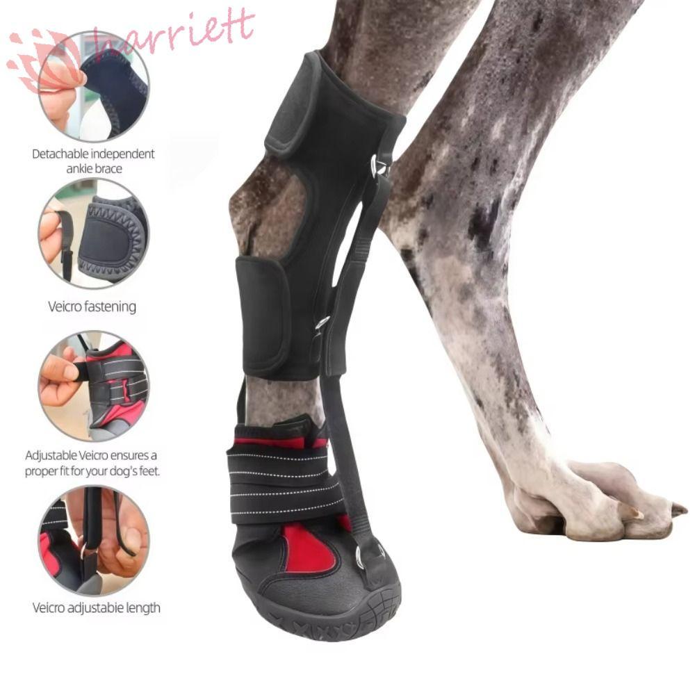 HARRIETT รองเท้าสุนัขแก้ไข,Breathable Strap-On Drop Foot Brace สําหรับสุนัข,Anti Dirty Wear-resistan