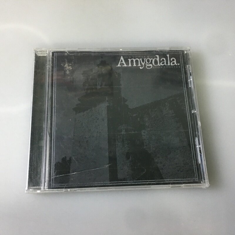 (ใหม่เอี่ยม ) Amygdala - เสียงของเรา Will Soar Forever youzi