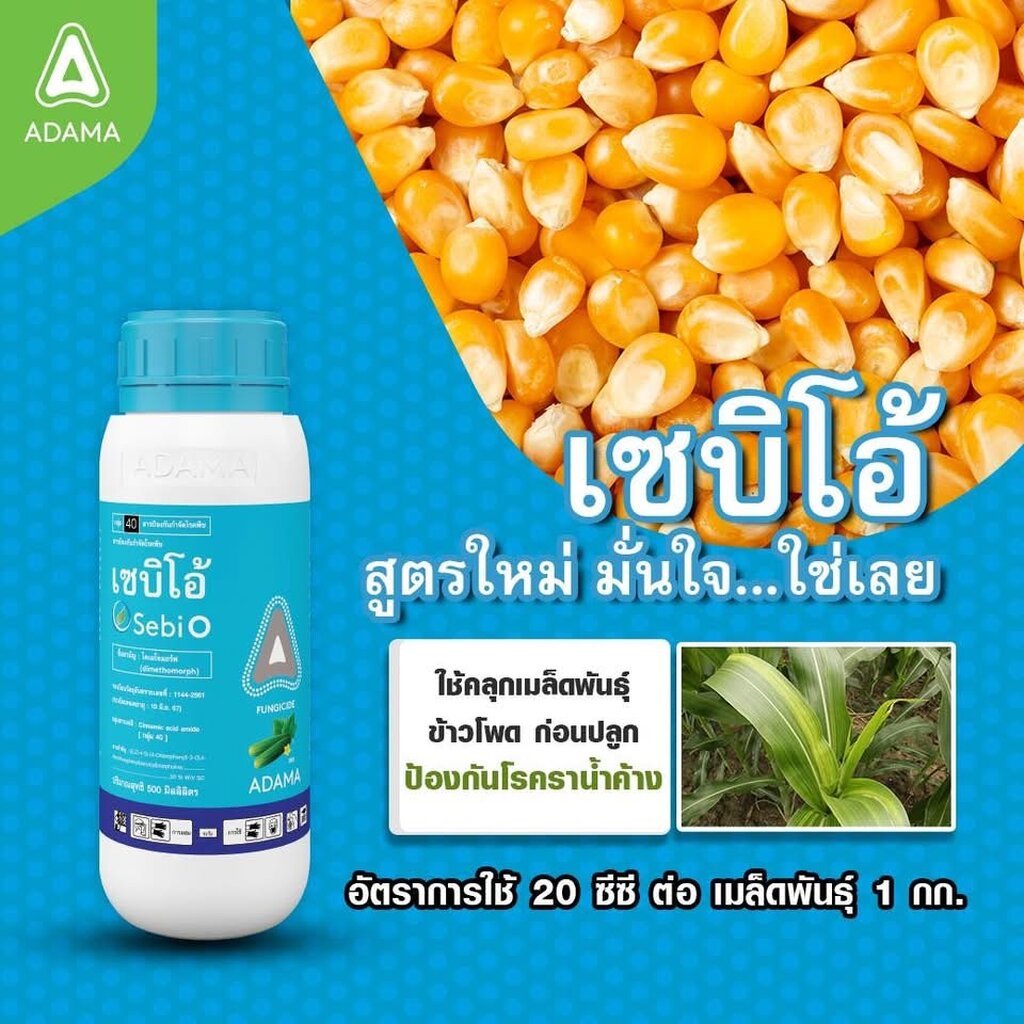 ADAMA เซบิโอ้ 500 ซีซี ไดเมโทมอร์ฟ ราน้ำค้าง ลำต้นเน่า กล้าเน่า