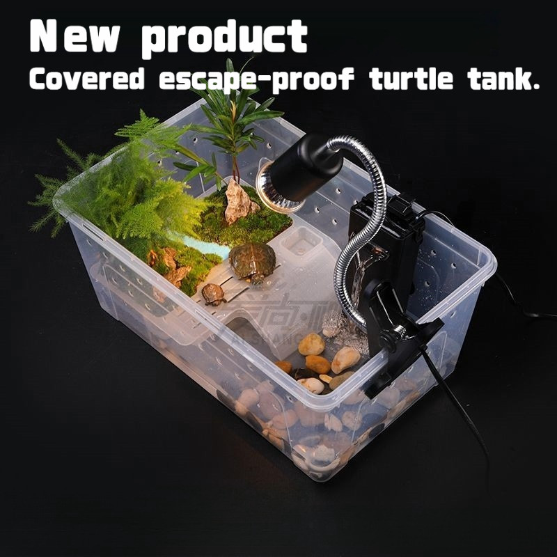 Pacman Frog Terrarium กล่องสะเทินน้ําสะเทินบก Basking Platform เต่า Salamander สัตว์เลื้อยคลาน