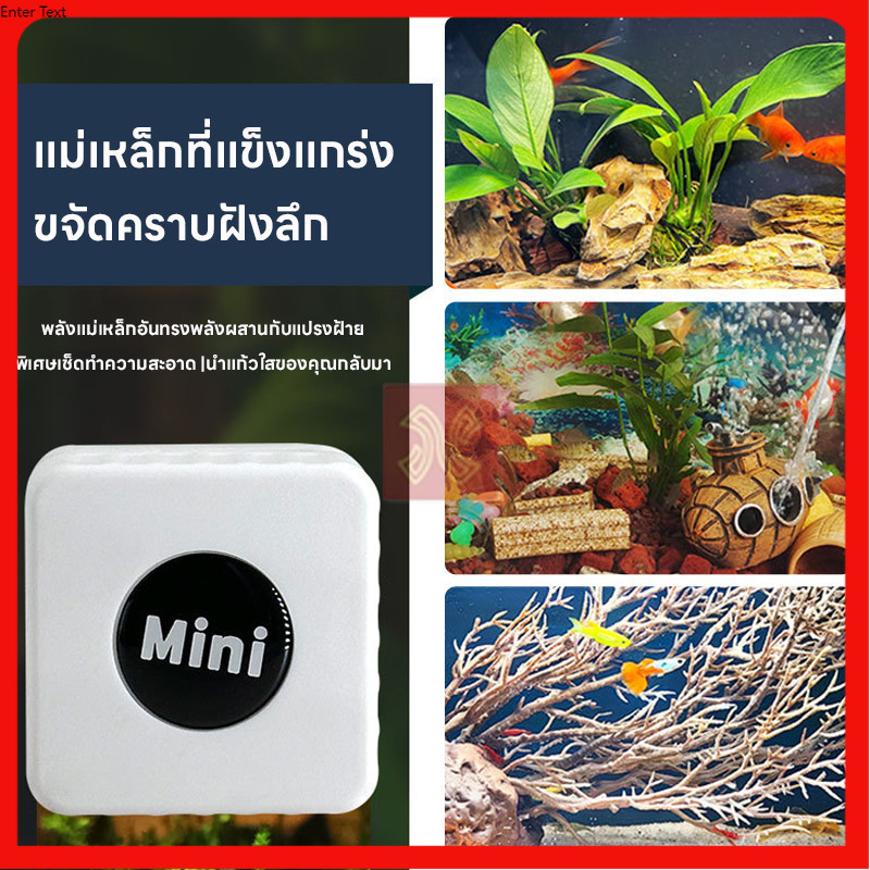 SZ-70 แม่เหล็กทำความสะอาดตู้ปลา  แรงดูดสูงเครื่องมือทำความสะอาดตู้ปลา แปรงแม่เหล็ก ขนาดเล็ก เเก้วหนา ก็ใช้ได้ - รูปที่ 5