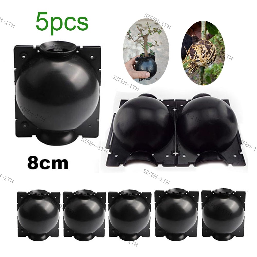 5pcs Plant Root Growing กล่อง 8 ซม.พืช Rooting Ball Grafting Breeding Case สําหรับ Garden F3 @ TH