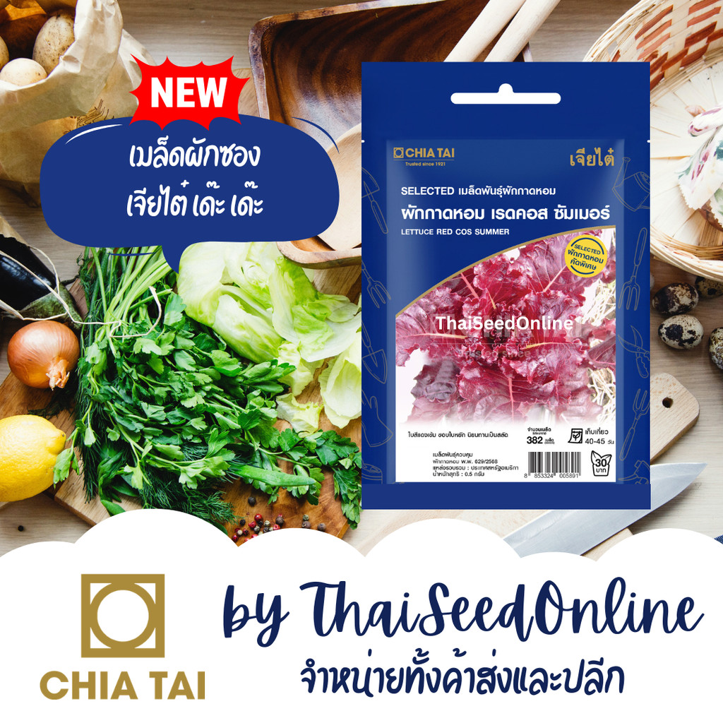 CTSE เมล็ดพันธุ์ ผักกาดหอม ผักสลัด เรดคอสซัมเมอร์ ตราเจียไต๋ Red Cos Summer