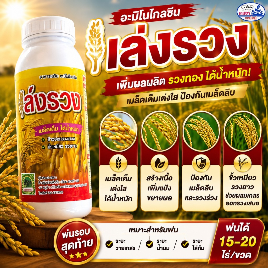 เล่งรวง 1 ลิตร ฮอร์โมนบำรุงข้าวช่วงวายเกสร เพิ่มแป้ง เมล็ดเต็ม รวงสวย น้ำหนักดี
