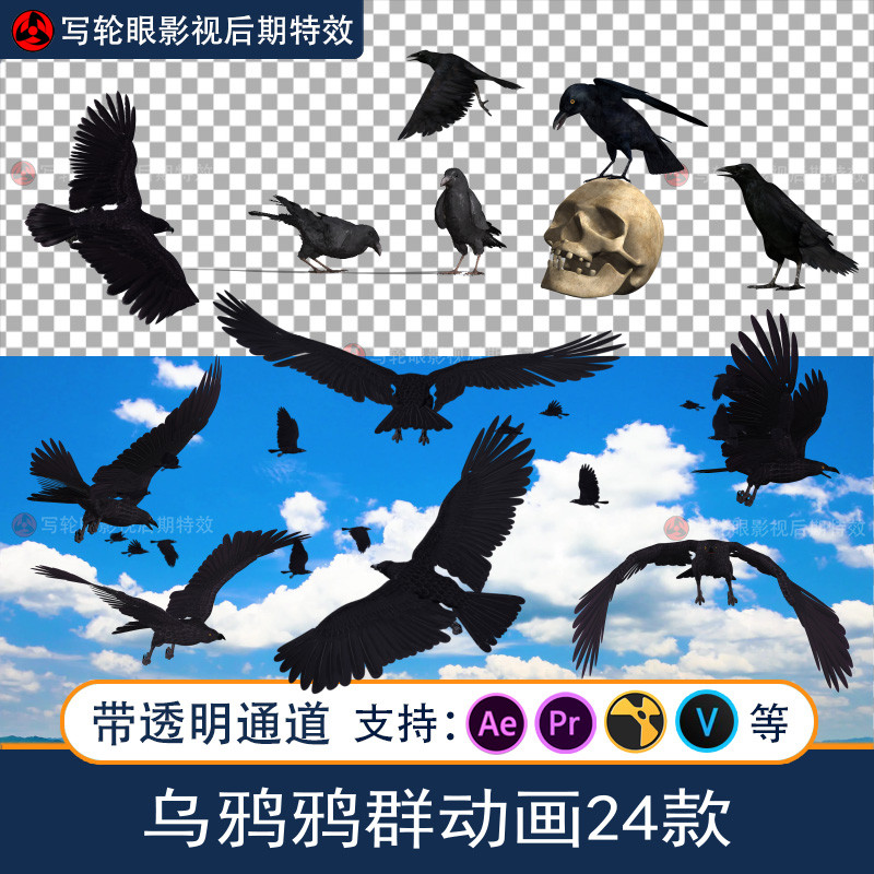Crow Group Animation Video Material วิดีโอโฆษณา CG 3D Animation วัสดุ AE/PR พร้อมช่องโปร่งใส alpha