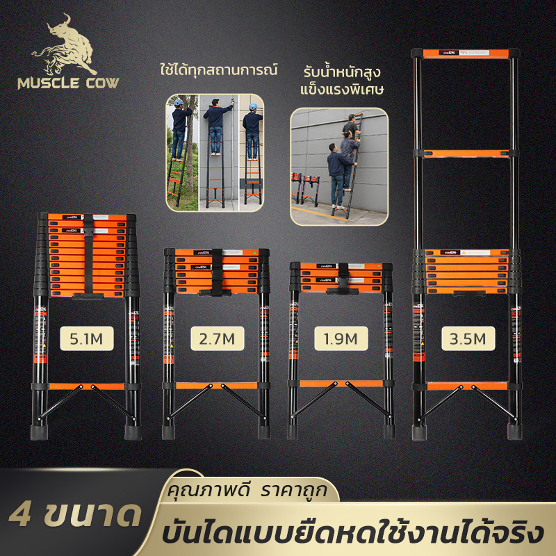 MUSCLE COW บันไดยืดหด 4 ขนาด 1.9-5.1M พับเก็บสะดวก เหล็กกล้าแข็งแรง รับน้ำหนักสูง ใช้งานได้ทุกที่