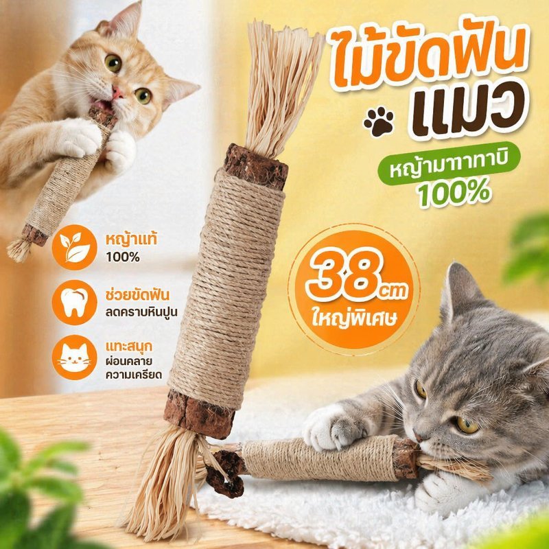 ไม้ขัดฟันแมว ไม้มาทาทาบิ ขนาดใหญ่พิเศษ ของเล่นแมว ไม้แมวเมา ช่วยทำความสะอาดฟัน ลดคราบหินปูน ทนทาน