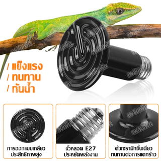 Minisun หลอดไฟให้ความร้อน UVA + UVBเสริมแคลเซียม ขั้วหลอดไฟเซรามิกE27 ไฟนก ไฟเต่า ไฟกิ้งก่า ใช้คู่กับขั้วหลอดไ