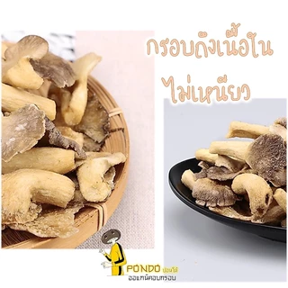 เห็ดนางฟ้าอบกรอบ "PONDOออแกนิคอบกรอบ" ไม่ใช้น้ำมัน รับประกันความกรอบอร่อย ไม่หืน ไม่อ้วน เห็ดอบกรอบ ผักอบกรอบ
