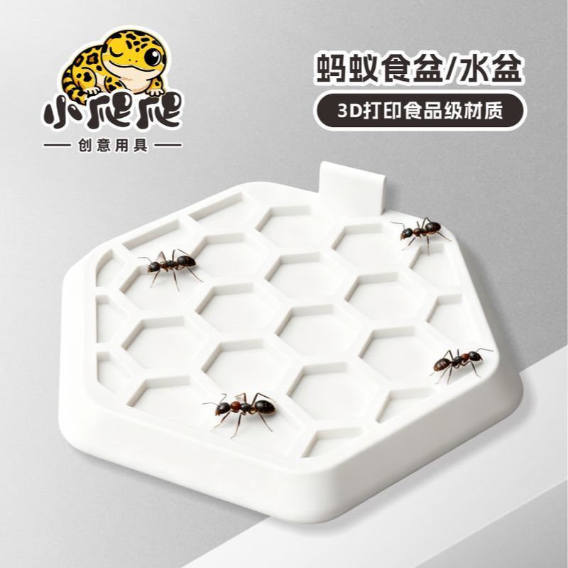 爬宠爬虫喂食盆水盆昆虫蚂蚁螳螂鼠妇蟋蟀杜比亚守宫蚂蚁空间站7.30 ชามอาหารสัตว์เลื้อยคลาน, ชามน้ำ, แมลง, มดน้อย, ตั๊กแตน, หนู, จิ้งห