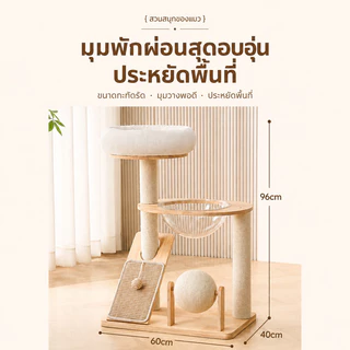 คอนโดแมวไม้ พร้อมโดมนอนแบบใส คอนโดแมว ตัวคอนโดแมวใหญ่ condoแมว กรอบปีนแมว โครงปีนแมว แคปซูลอวกาศ บ้านแมว คอนโดแมวไม้จริง